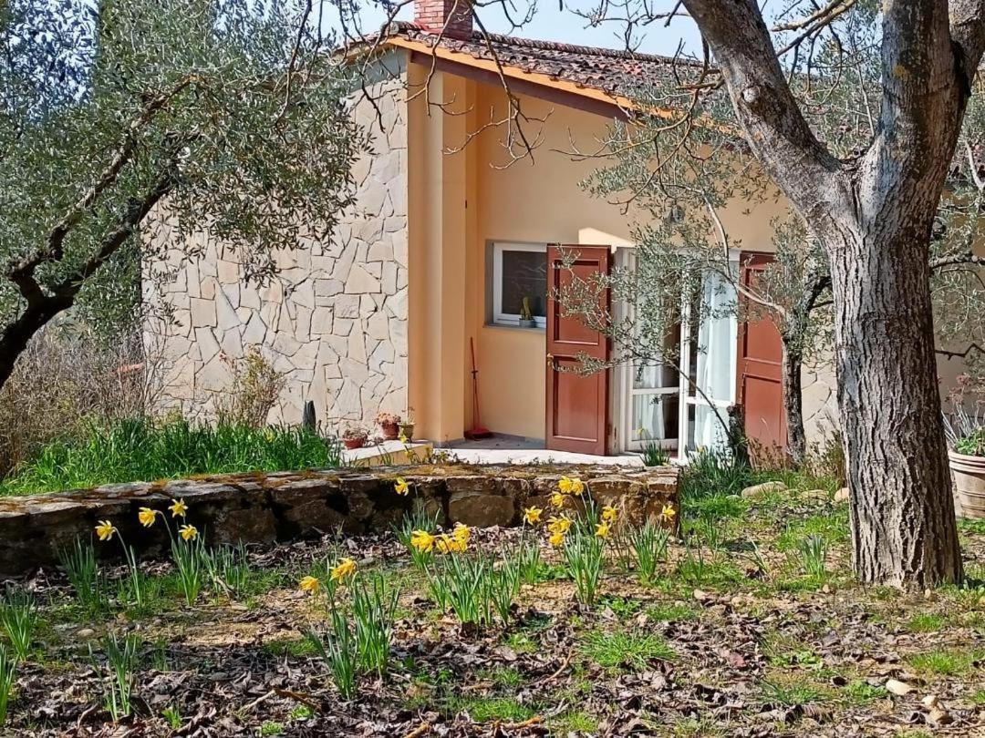 Poggio House, Tranquillita E Comfort Nella Natura Сан-Кашиано-ин-Валь-ди-Пеза Экстерьер фото