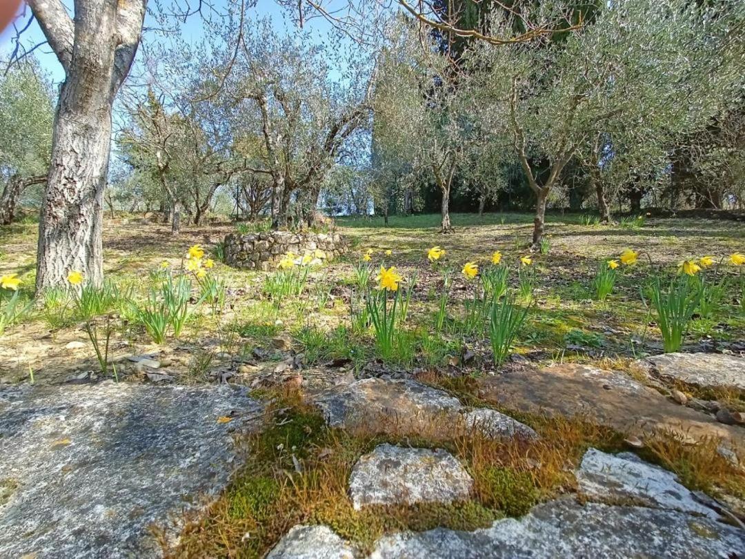Poggio House, Tranquillita E Comfort Nella Natura Сан-Кашиано-ин-Валь-ди-Пеза Экстерьер фото